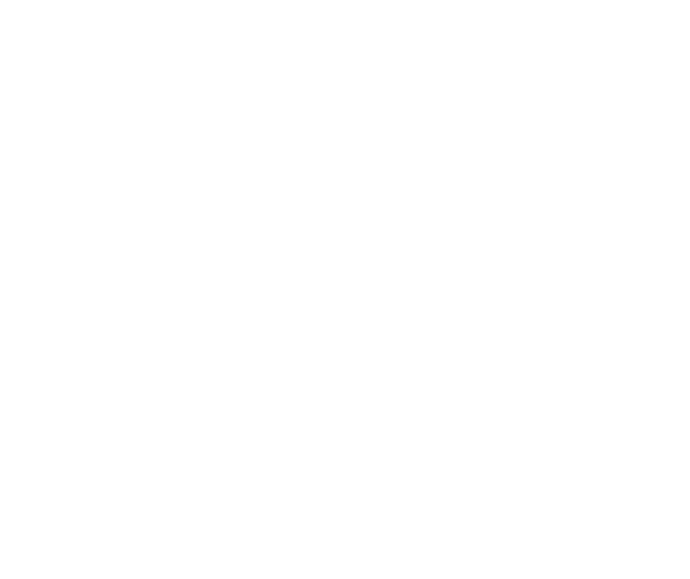 OSTVINTZ official website